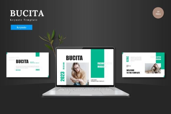 Bucita – Keynote Template: A Versatile Toolkit for Modern Presentations