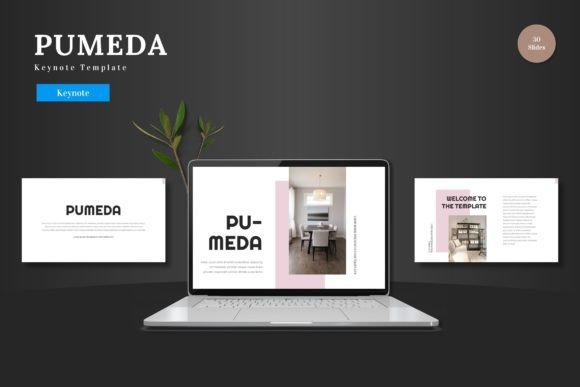 Pumeda - Keynote Template: A Practical Workflow Tool for Polished Presentations